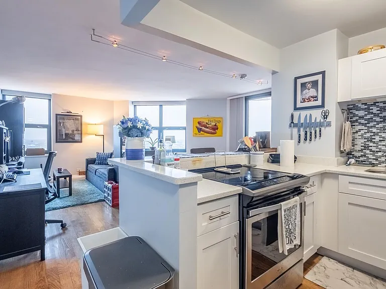 3660 N Lake Shore Dr #3912 — Photo 4