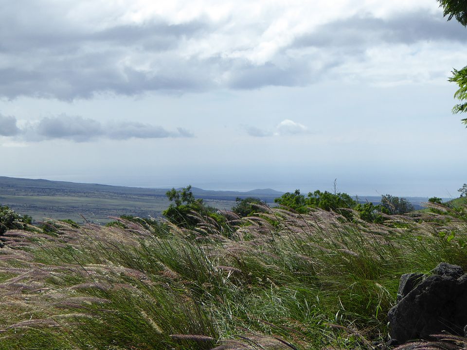 1st image of Puu Kamanu Lane