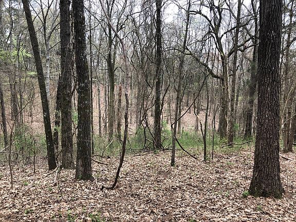 5th image of 16525A Boundary Dr