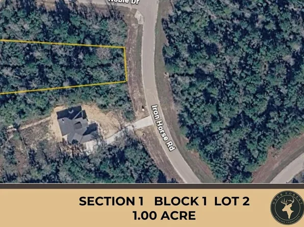 231 Iron Horse Rd Lot 2, Willis, TX 77378