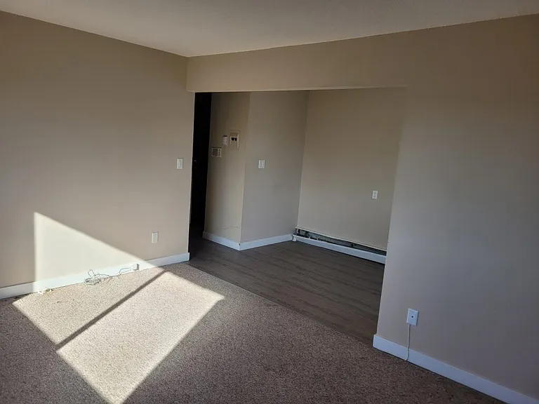 9121 106a Ave NW — Photo 13
