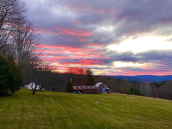 Cottage, shed, animal barn. 