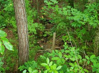 9 N Rose Ridge Dr, Ellijay, GA 30540