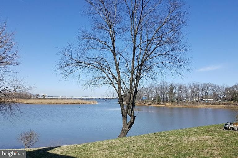 2nd image of 1334 Cox Cove Ct