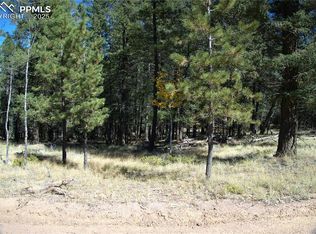 252 Southpark Rd, Florissant, CO 80816