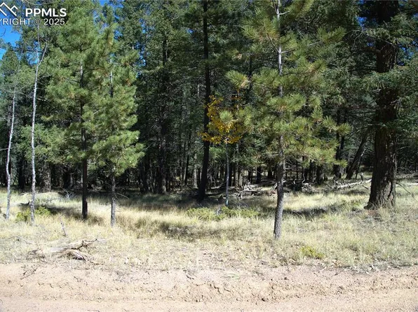 252 Southpark Rd, Florissant, CO 80816