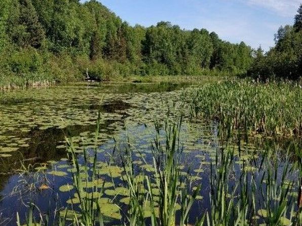 445 Fox Run, Temagami, ON P0H 2H0