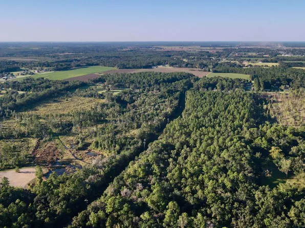 15400 Barlow Rd, Loxley, AL 36551