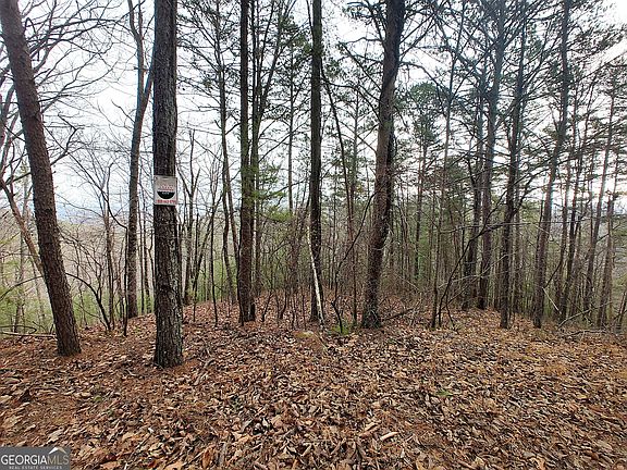 3rd image of 1036 Astro Ct NE