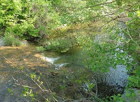 5th image of 213 Little Gabriel River Dr