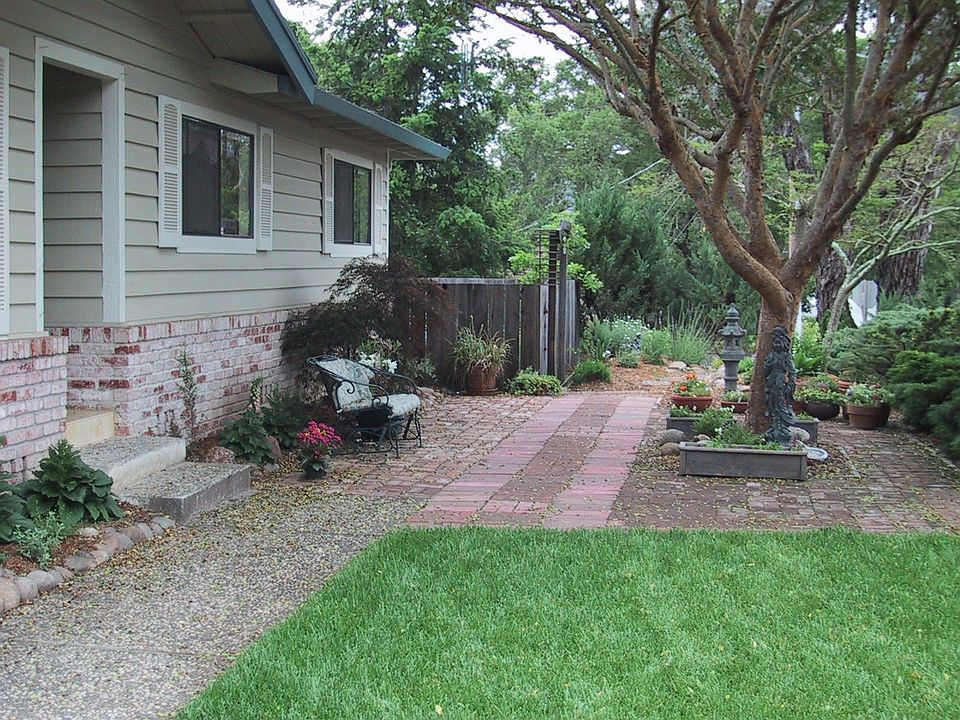 Front patio w/ elm tree