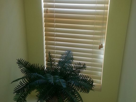 living room window_05132014