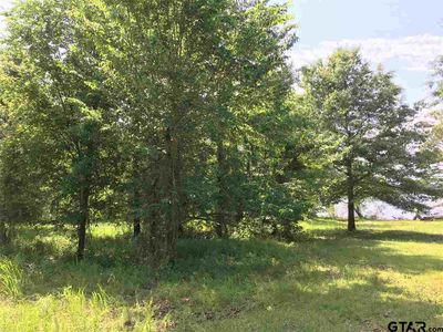 Private Road 52420, Leesburg, TX, 75451