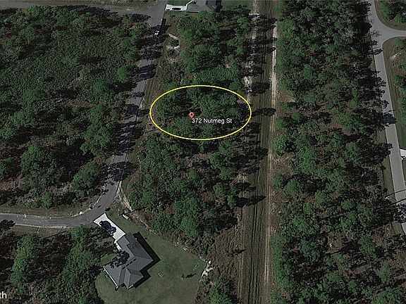 4th image of 372 Nutmeg St