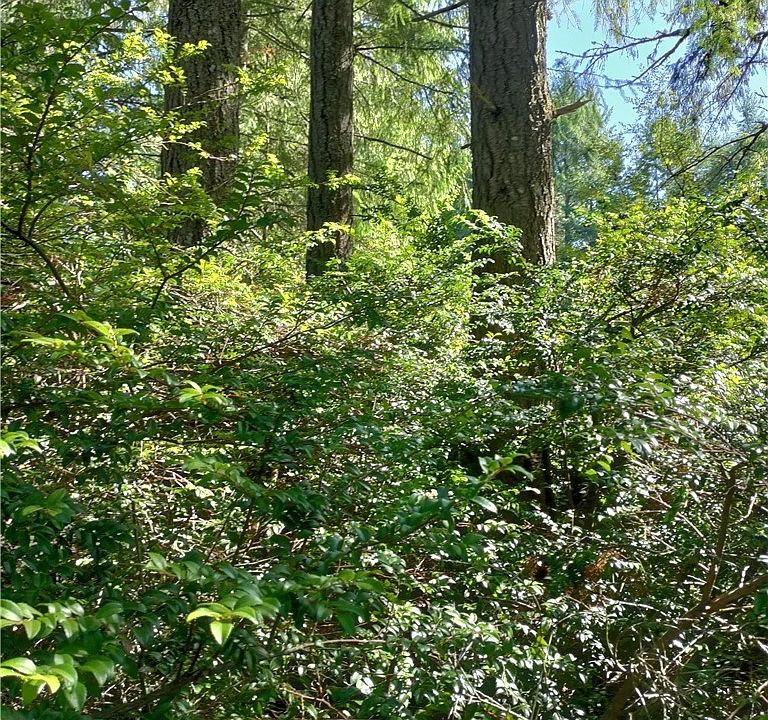 2nd image of 0 Sunnyslope Road SW
