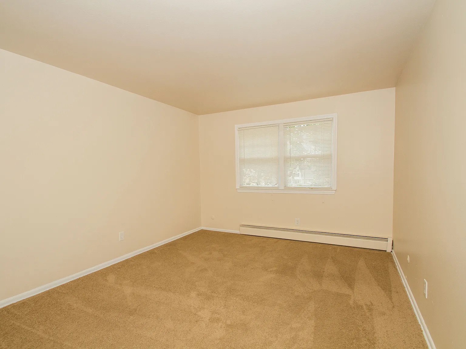 Woodland Springs — Photo 3
