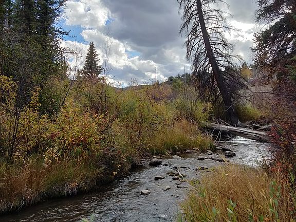 5th image of 1532 Snowmass Creek Rd