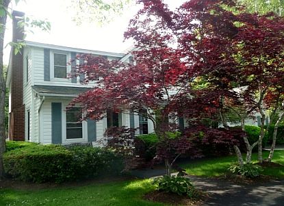 1st image of 53 Oak St