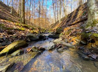 0 Frozen Hollow Rd LOT 7, Carbon Hill, AL 35549