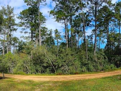 Nicole Elizabeth Dr, Franklinton, LA, 70438