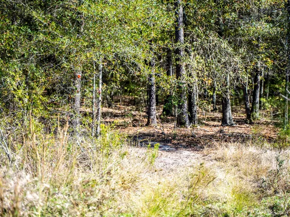 0 County Road 3235, Clarksville, TX 75426