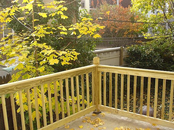 Backyard View