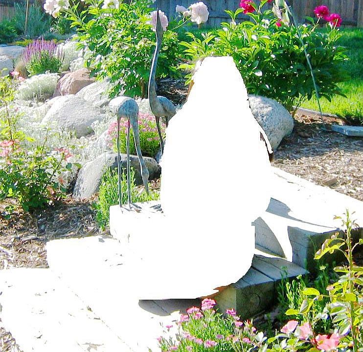 Garden in June