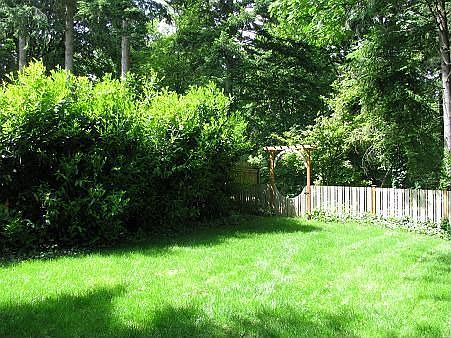 Fenced yard behind garage