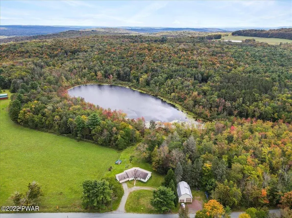 440 Niagara Dr, Pleasant Mount, PA 18453