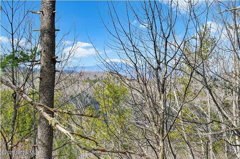 3rd image of L18 Mountain Meadows Road