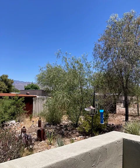 Enjoy a backyard full of birds, wildlife and native plants without the hassle of maintenance. Landscape care included in rent.