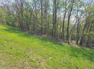 1283 Monte Sano Dr, Scottsboro, AL 35769