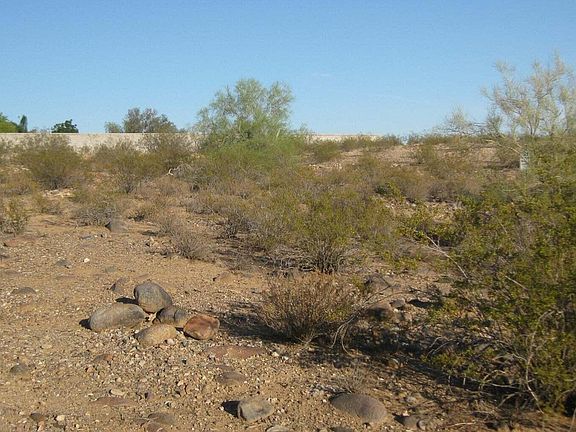5th image of 10459 W PINNACLE PEAK Road #29
