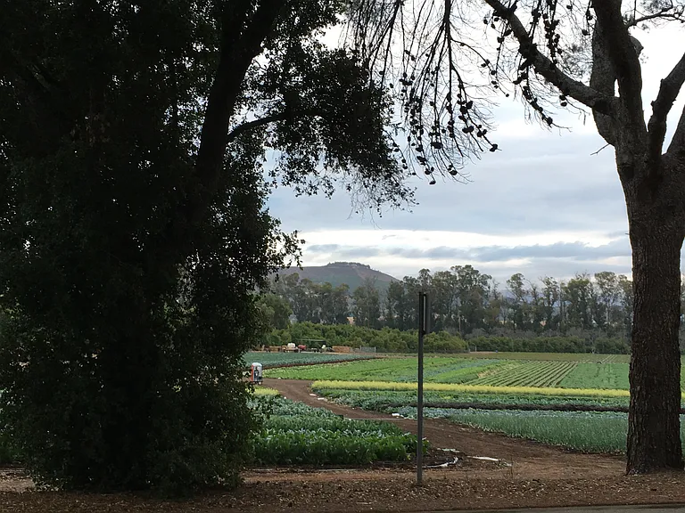 Read Rd — Photo 40
