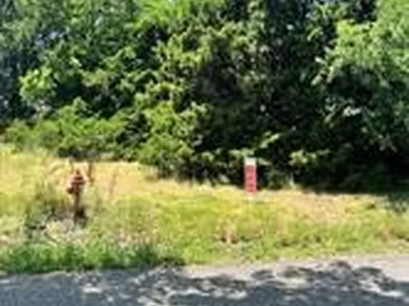 County Road 446, Princeton, TX 75407