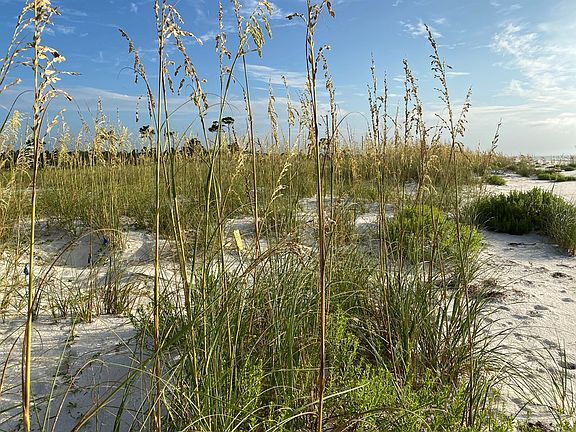 4th image of 373 Gulf Shore Dr