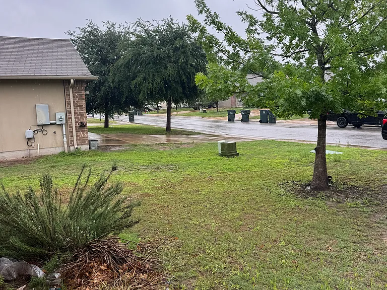 376 Musgrav — Photo 27