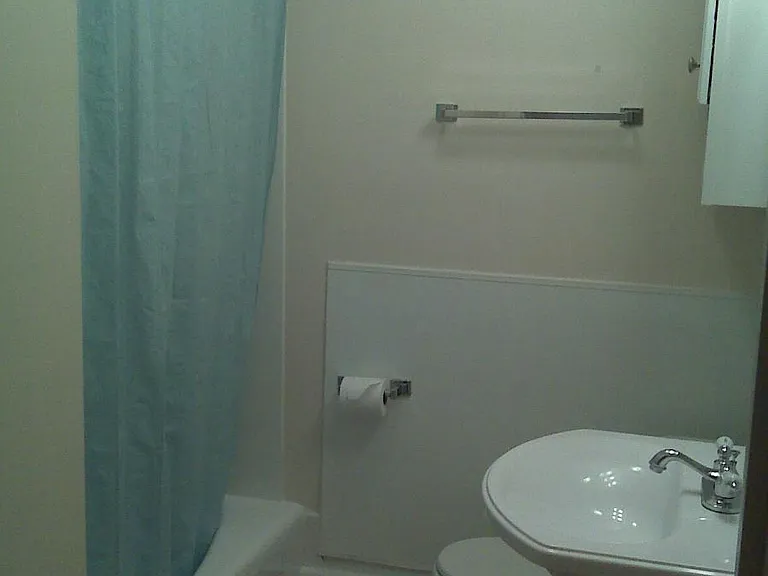530 Vincent St #3 — Photo 8