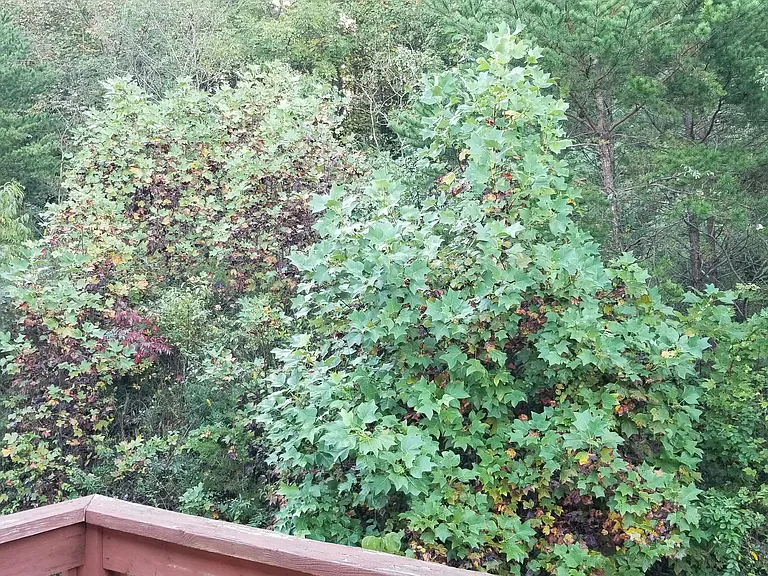 1001 Bitty Cir #C17 — Photo 28