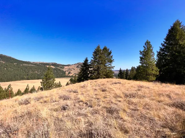 68 Jostin Ln, Malo, WA 99150