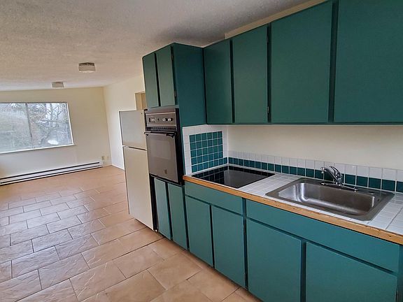 Kitchen with new convection cooktop
