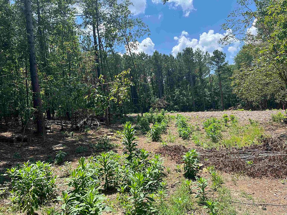 1st image of 9 Caney Ln