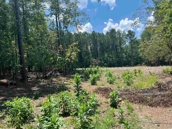 9 Caney Ln, Glenwood, AR 71943