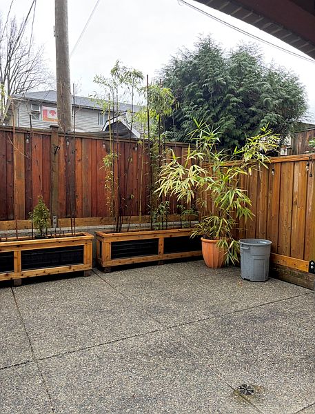 North Vancouver Apartment for rent - 1 Bedroom — photo 3