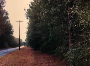 NE Old Blue Springs Rd, Lee, FL 32059