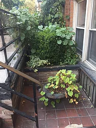 Rented by Sky Management