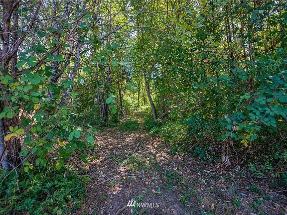 2nd image of 114 Wild Daisy Dr Lot D4