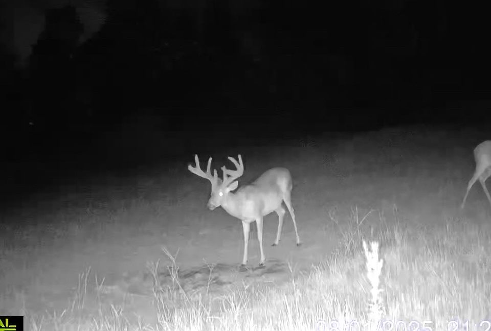 1st image of 1 Sarah Simpson Rd