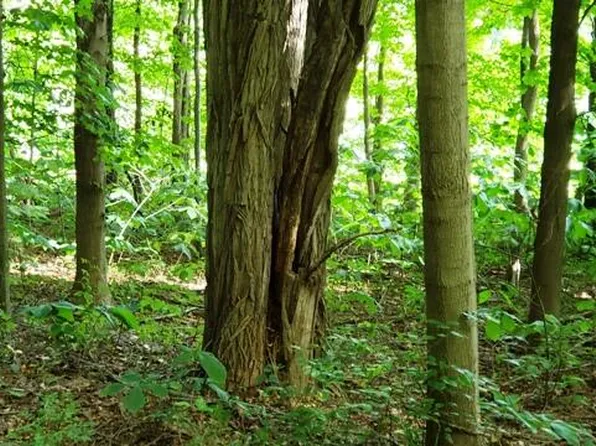 1334 N Brummitt Rd, Chesterton, IN 46304