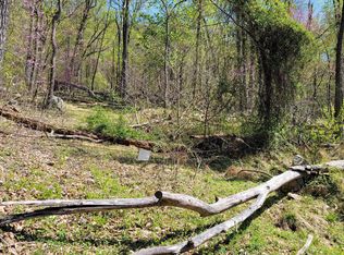 Swinging Bridge Rd, Hedgesville, WV 25427